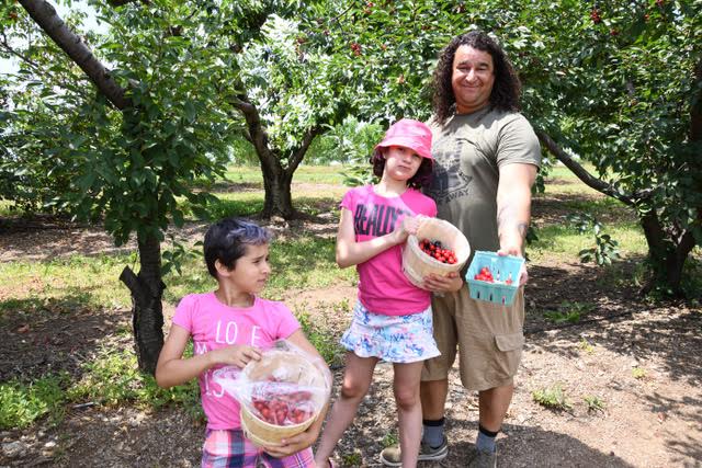 Lee with Willow and Hannah picking cherries in an orchard